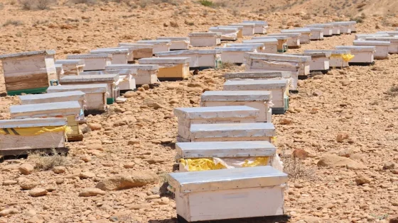 لسعات نحل تُنهي حياة فلاح داخل منزله ضواحي الجديدة