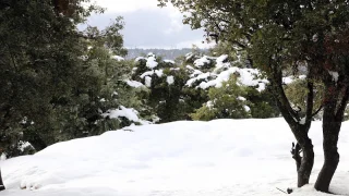 ارصاد … أجواء باردة نسبيا وأمطار مرتقبة بعدد من المناطق