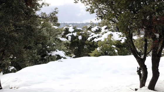 ارصاد … أجواء باردة نسبيا وأمطار مرتقبة بعدد من المناطق