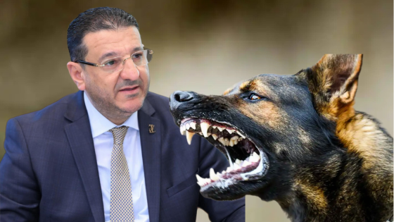 كلبة ضالة ترسل رئيس جماعة مرتيل للمستعجلات