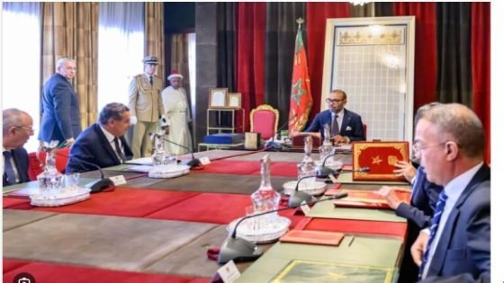 الملك محمد السادس المجلس الحكومي