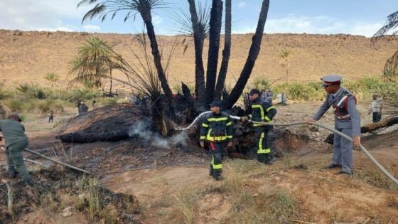 حريق واحة بتلادكلو يخلّف خسائر مادية ويستنفر السلطات بإقليم زاكورة