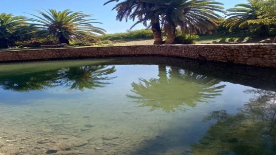 عين قيشر… جمالٌ طبيعي يصارع الإهمال ضواحي وادي زم