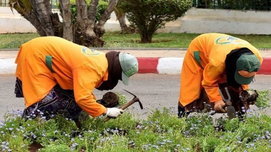 العمال العرضيون في المغرب: أجور مجحفة وكرامة على المحك