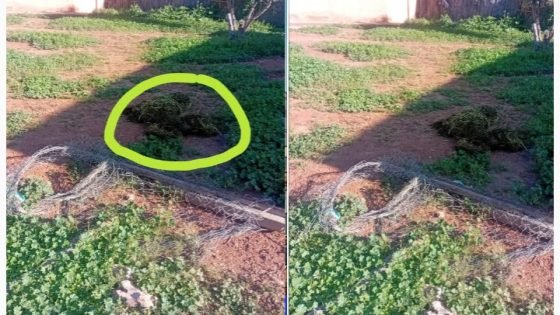 من يصون حرمة المدارس في إقليم الفقيه بن صالح!؟