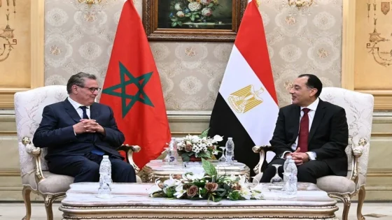 رئيس الحكومة أخنوش يصل إلى القاهرة