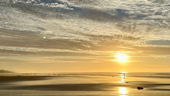 أرصاد: زخات رعدية ورياح قوية بعدد من المناطق