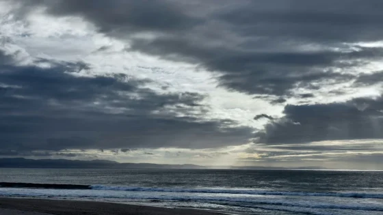 أرصاد : ضباب وارتفاع في الحرارة