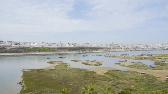 أرصاد …برودة ملحوظة وضباب ورياح قوية