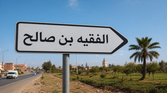 حين تتحول صفقات الدراسة إلى لغز… من يعبث بمشاريع الفقيه بن صالح؟