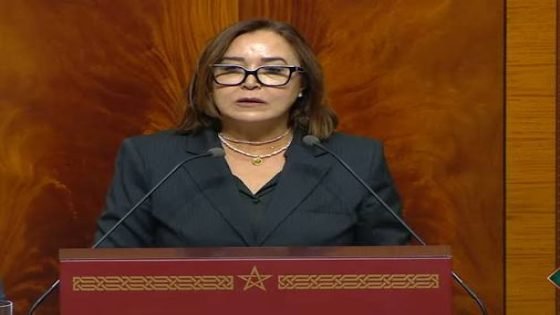 اختلالات المنصات الرقمية تهدد “المسار الانتخابي”