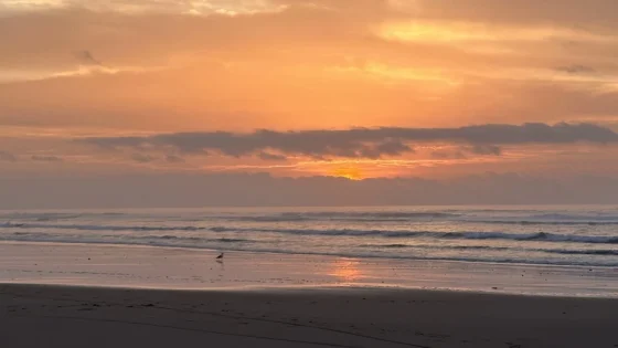 أرصاد ..زخات رعدية مرتقبة بعدد من مناطق المملكة اليوم الاثنين