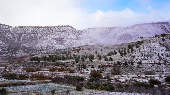 أرصاد ..برودة بالأطلس وأمطار متفرقة