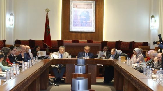 وهبي: قانون المحاماة الجديد لتبسيط المهنة وتعزيز نجاعتها