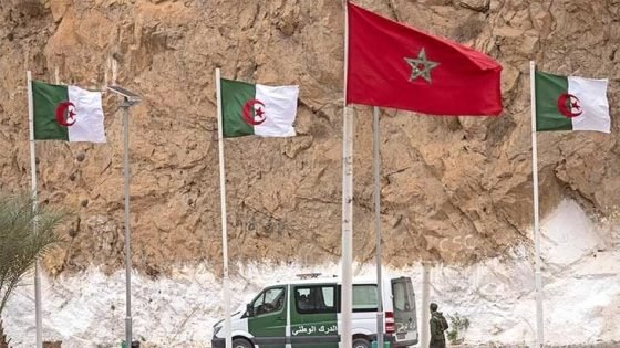 خبير مغربي: تطبيع العلاقات بين الرباط والجزائر مفتاح لإنقاذ المنطقة المغاربية