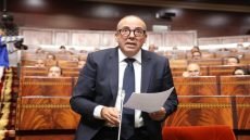 أيها المواطنون… وزير الفلاحة يخاطبكم : خروف العيد يبدأ من 1000 درهم!!!