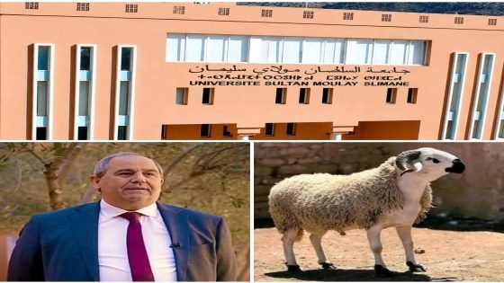 حين يعاقب الوزير جامعة كاملة بالصمت والشلل.. ويهدد أسرا بحرمانها من أضحية العيد