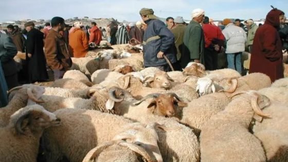 “الكسّاب”.. انسان يفرض نظرة فوقية على حياة المواطنين