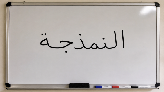 ماذا تعني كلمة ” النمدجة ” التي حيرت المغاربة