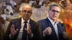 دموع صباح العيد.. عائلات عجزت عن شراء الأضحية بسبب “الغلاء والندرة “