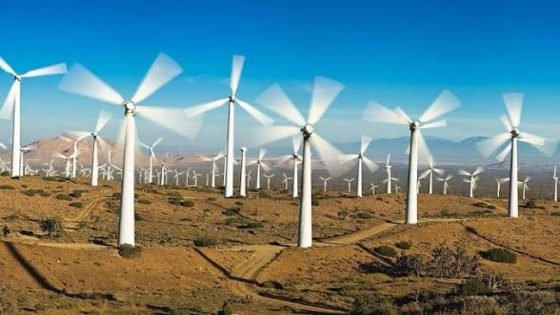 هذه أهم 5 مشروعات طاقة رياح في المغرب