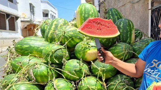 معركة البطيخ.. من الأكثر في الإنتاج عربيًا بين مصر والمغرب والجزائر؟