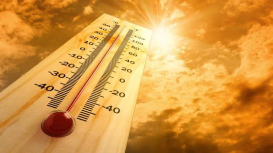 تصل إلى 42 درجة.. الأرصاد الجوية تحذر من موجة حر تشمل عدة مناطق بالمغرب
