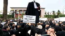 المحامون يصعدون ضد مشروع قانون المهنة.. وقفة احتجاجية أمام البرلمان للمطالبة بسحب المشروع