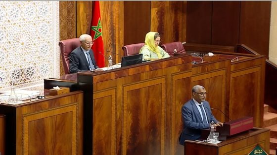 بووانو يفتح النار على أخنوش بسبب التعيينات والدعم