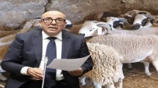 ​أزمة عيد الأضحى… عندما يرى الوزير البواري “تضخيماً” في معاناة ملايين المغاربة