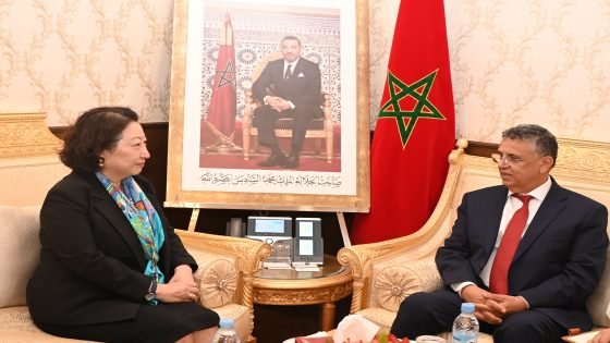 المغرب يعزز شراكته مع المنظمة الدولية للوساطة