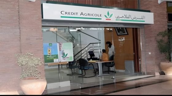 الاعتماد على العمل الميداني والمنجزات شعارٌ للتواصل لدى القرض الفلاحي