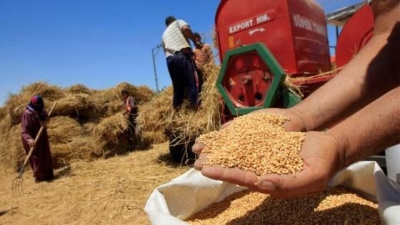 إبراهيمي يطالب بحماية الحبوب الوطنية من منافسة الواردات