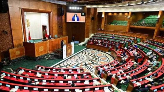 في مجلس المستشارين… حين انتصر الوضع القائم وخسر المواطن