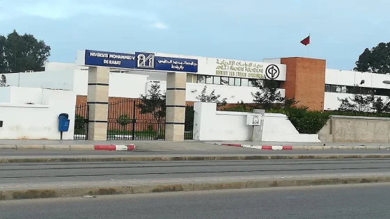 هل يهدد حل معهد الدراسات الإفريقية مستقبل البحث العلمي المتخصص في القارة؟