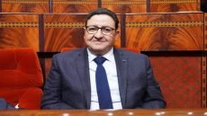 متى يخفض قيوح أسعار تذاكر النقل البحري لفائدة الجالية. ؟