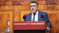 بسبب المقالع وغلاء الأسعار.. حموني يطالب بدورة استثنائية للبرلمان
