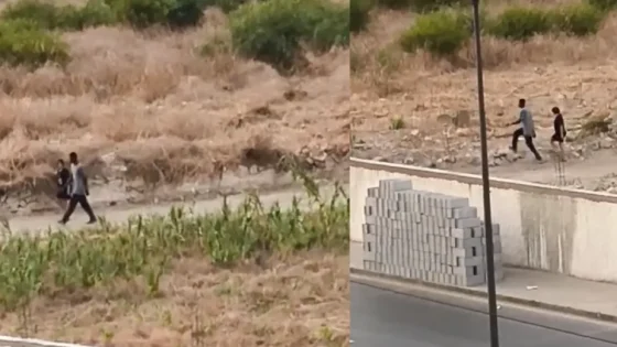 الدار البيضاء مقبرة