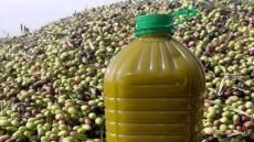 زيت الزيتون المغربي يقتحم السوق الإسبانية بقفزة قياسية في الصادرات