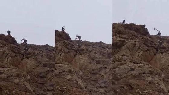 فيديو “الصخرة” يشعل الغضب.. والأنظار تتجه إلى النيابة العامة