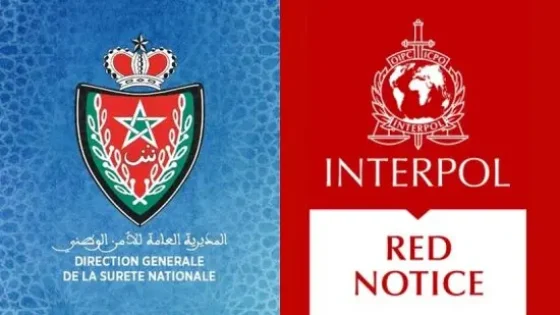 نشرة حمراء تسقط سويدياً مطلوباً دولياً في مطار طنجة