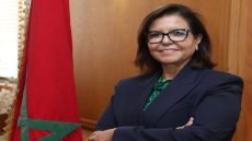المحرشي يطالب بالتحقيق في رخص استثنائية لصيد الأخطبوط ويتهم مقربين من “الأحرار” بالاستفادة منها