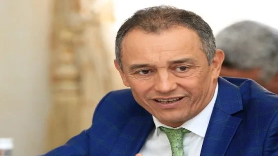 أحداث سبتة.. الشامي يدعو إلى حوار منفتح وصريح ورصين مع الاتحاد الأوروبي