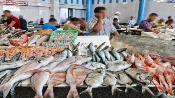 المغاربة يحاصرهم البحر من جميع الجهات ويشكون غلاء السمك