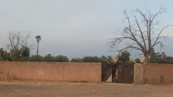 ” كلوب”كوزيمار بأولاد عياد…خلف الأسوار أسئلة تنتظر أجوبة