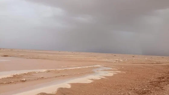 أمطار رعدية مرتقبة اليوم الثلاثاء